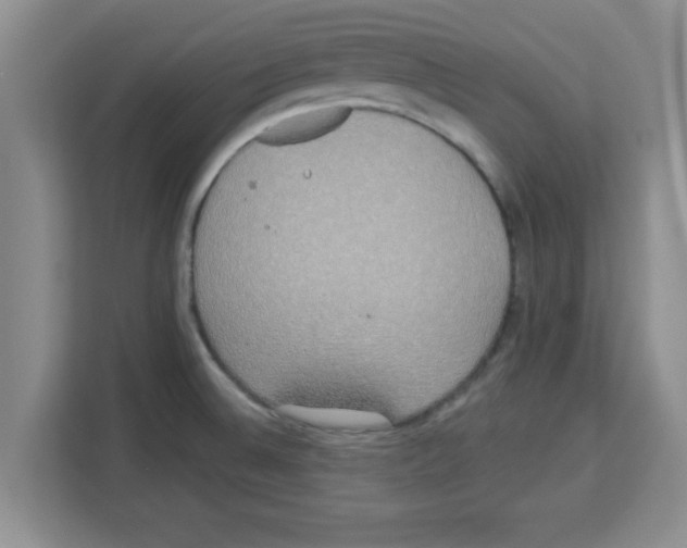 X0000113921524200910221343