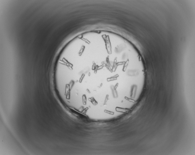 X0000113921525200910221343