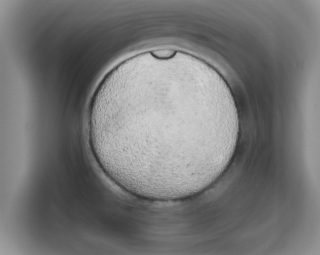 X0000113921526200910221343