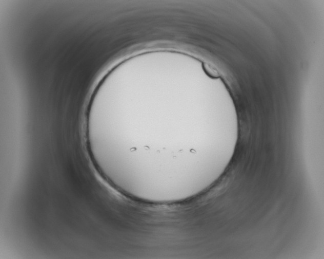 X0000113921527200910221343