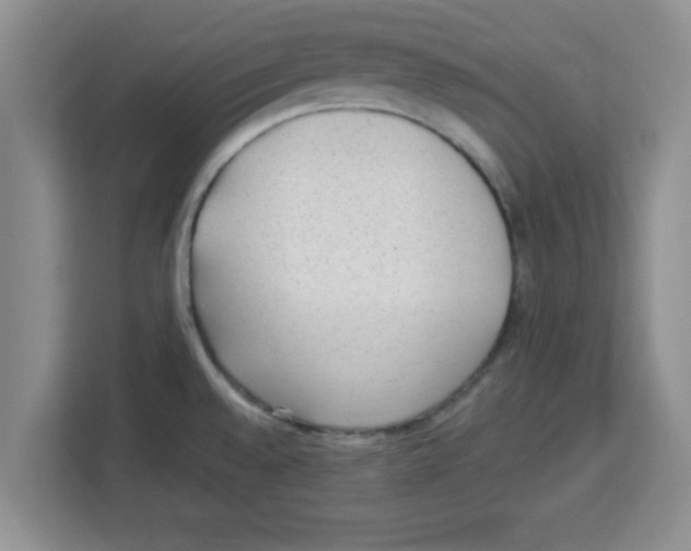 X0000113921528200910221343