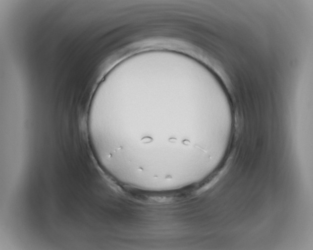 X0000113921529200910221343