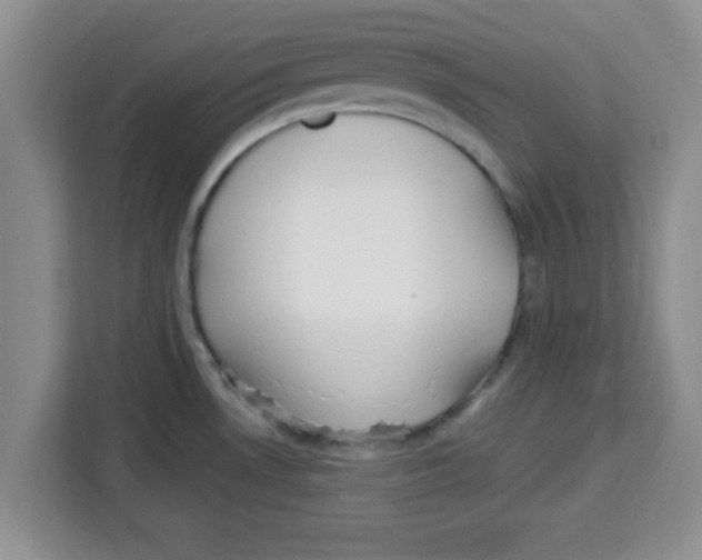 X0000113921530200910221343