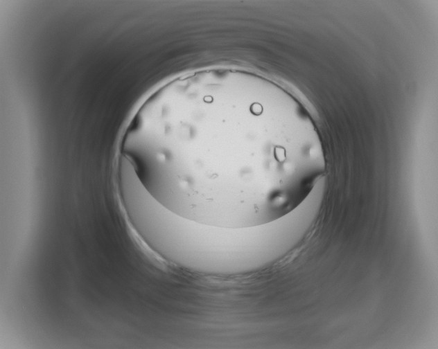 X0000113921532200910221343