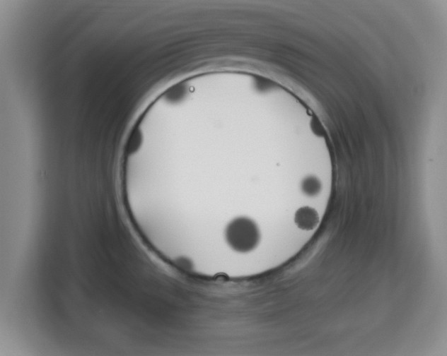 X0000113921533200910221343