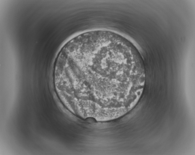 X0000113921534200910221343
