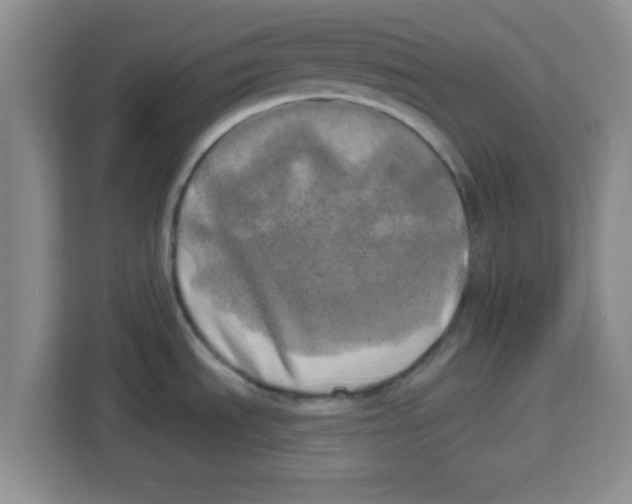 X0000113921535200910221343
