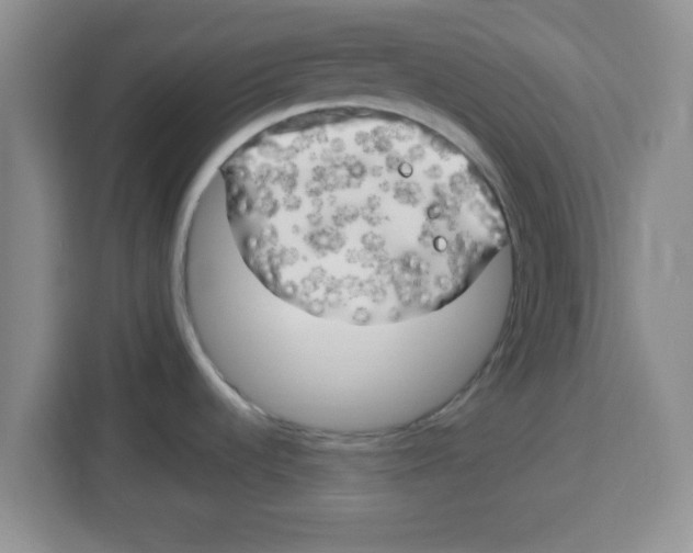 X0000113921536200910221343