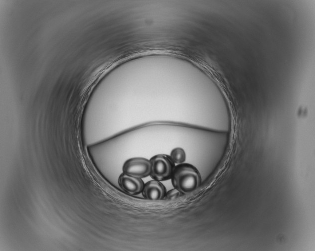 X0000113930001200909250927