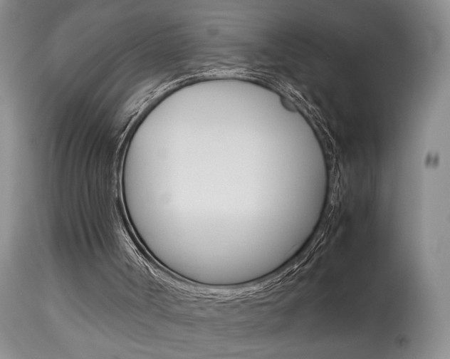 X0000113930002200909250927