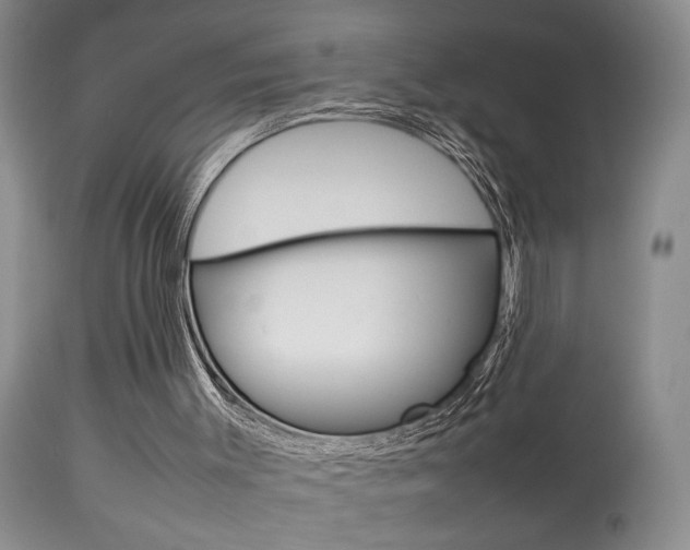 X0000113930003200909250927
