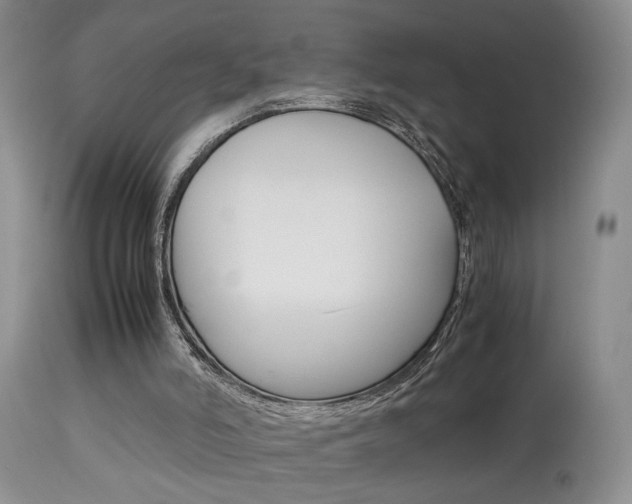 X0000113930006200909250927