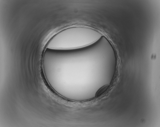 X0000113930007200909250927