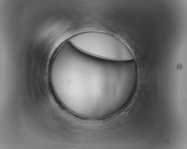 X0000113930008200909250926