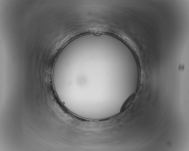 X0000113930009200909250926
