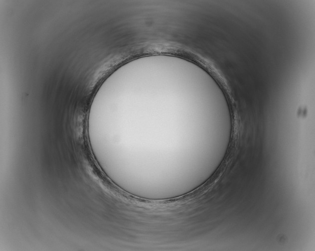 X0000113930010200909250926