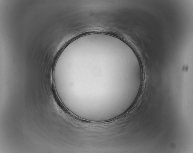 X0000113930011200909250926
