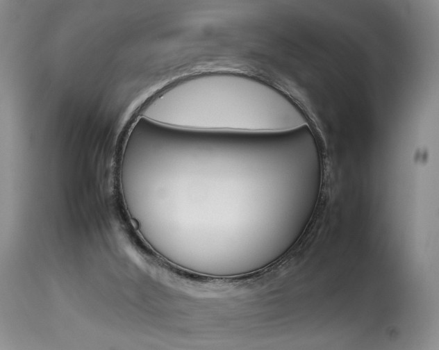 X0000113930012200909250926