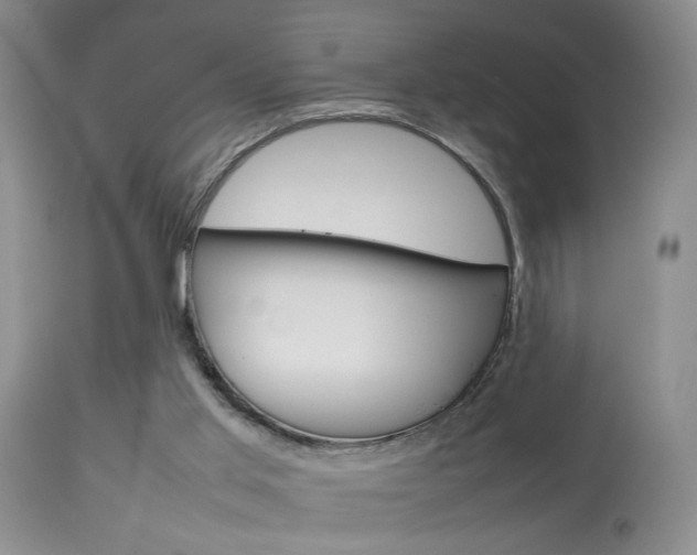 X0000113930013200909250926