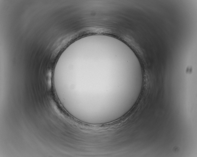 X0000113930014200909250926