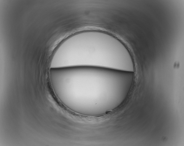 X0000113930015200909250926