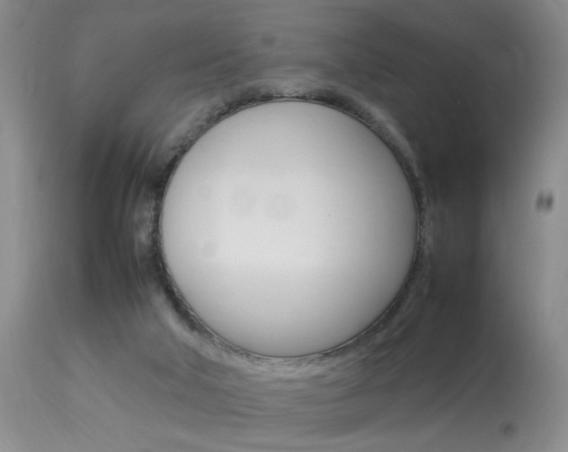 X0000113930018200909250926