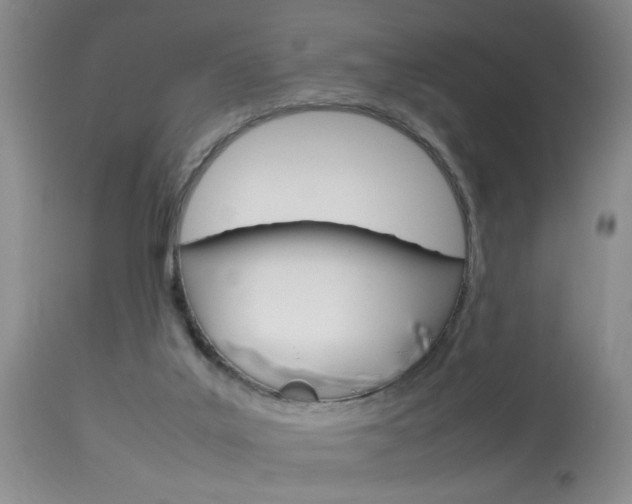 X0000113930019200909250926