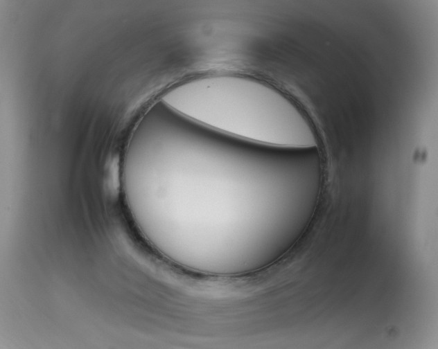 X0000113930020200909250926