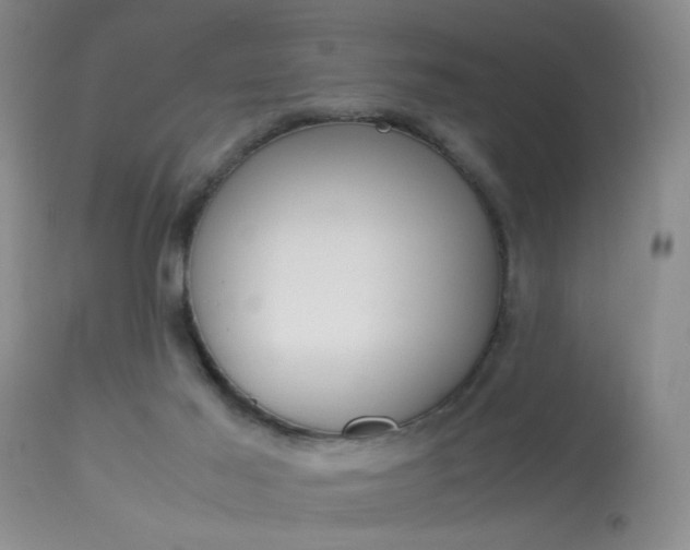X0000113930021200909250926