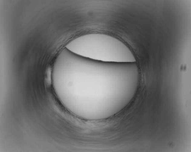 X0000113930022200909250926
