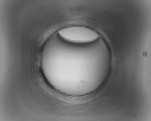 X0000113930023200909250926