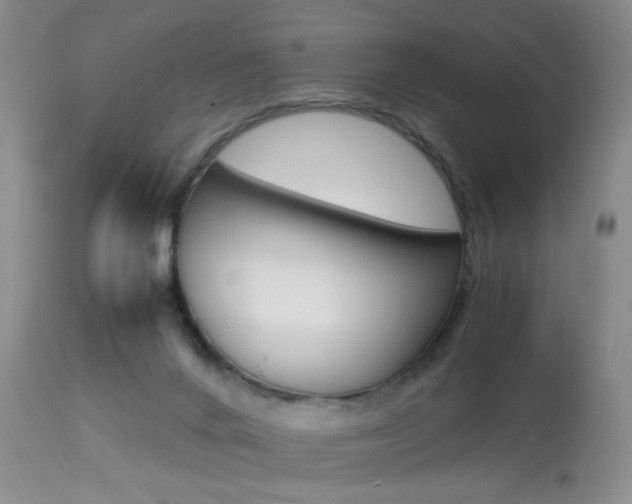 X0000113930024200909250926
