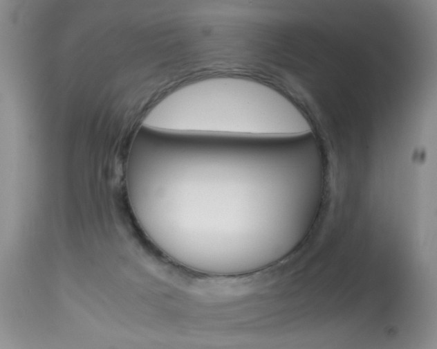 X0000113930025200909250926