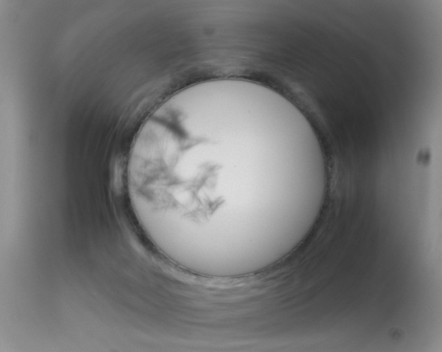 X0000113930026200909250926