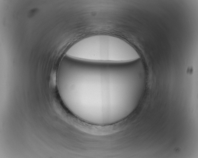 X0000113930027200909250926