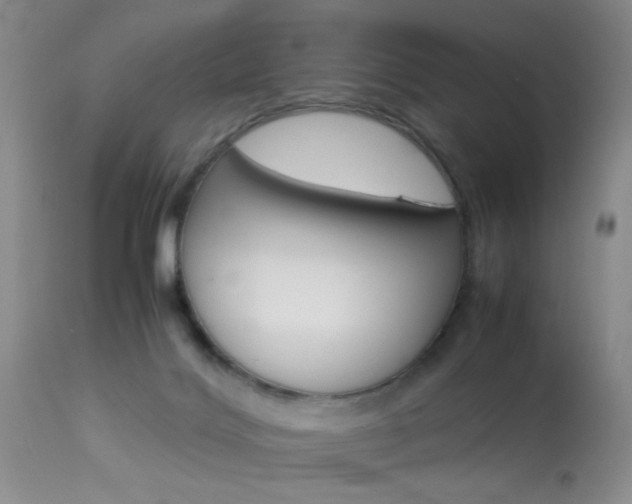 X0000113930028200909250926