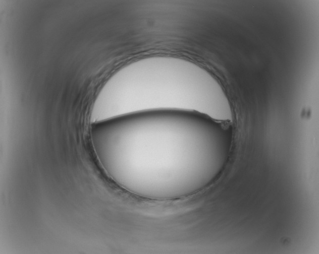 X0000113930029200909250926