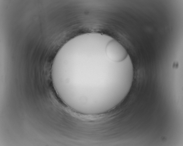 X0000113930030200909250926