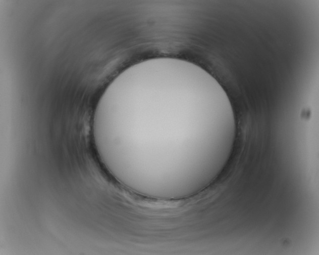 X0000113930032200909250926