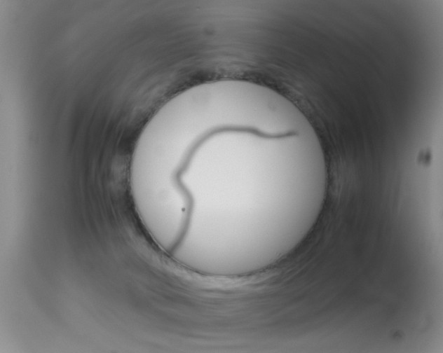 X0000113930034200909250926