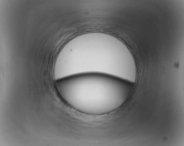 X0000113930035200909250926