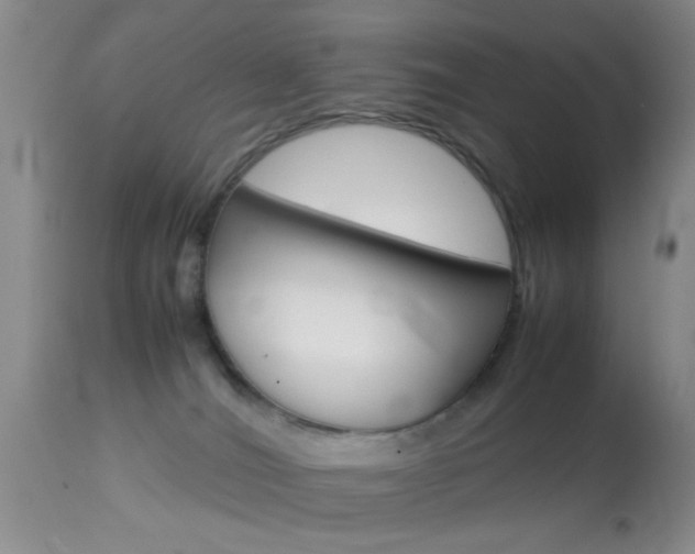 X0000113930036200909250926