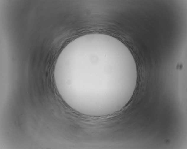 X0000113930037200909250926