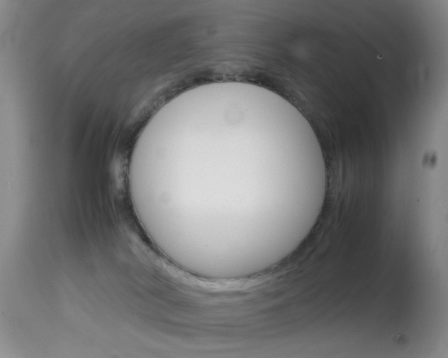 X0000113930038200909250926
