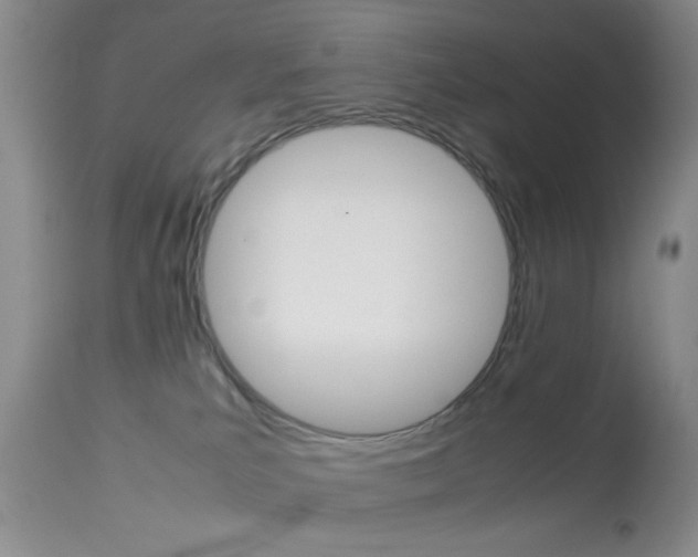 X0000113930039200909250926