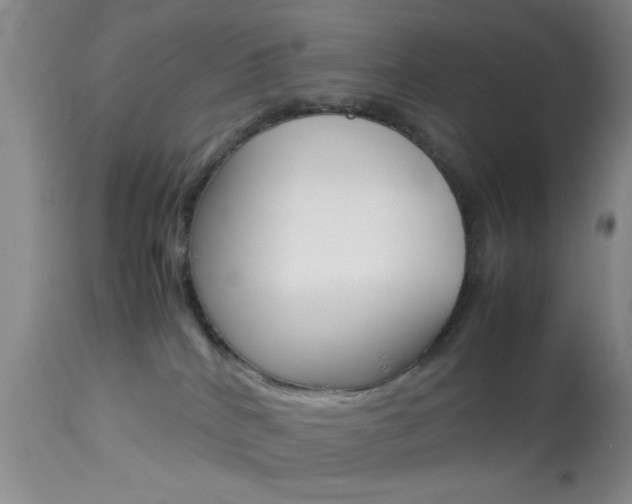 X0000113930040200909250926