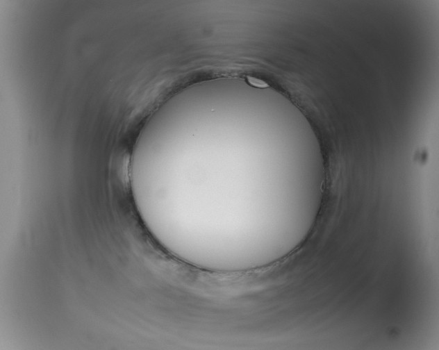 X0000113930041200909250926