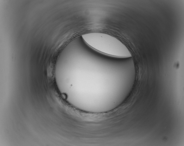 X0000113930044200909250926