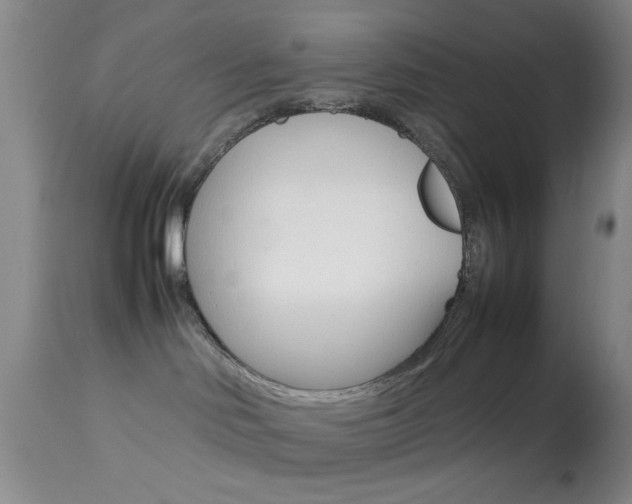 X0000113930046200909250926