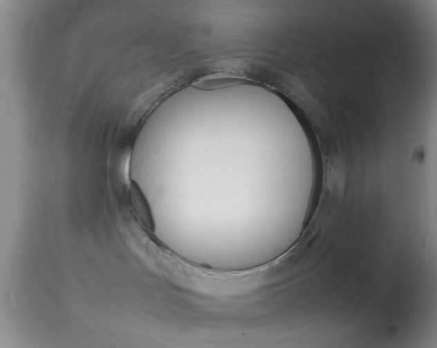 X0000113930047200909250926